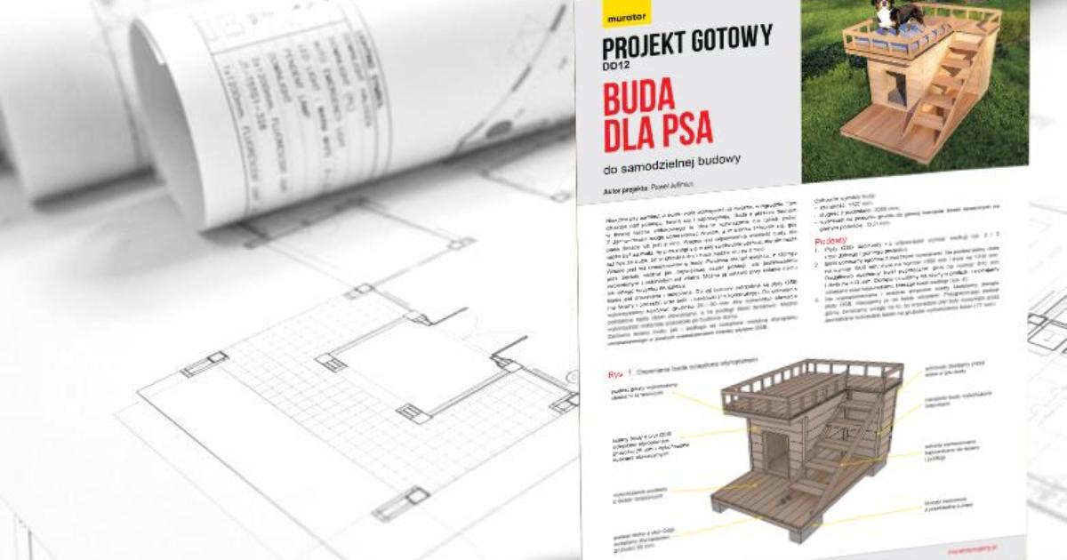 Promocja Projekt Budy Dla Psa Murator Projekty