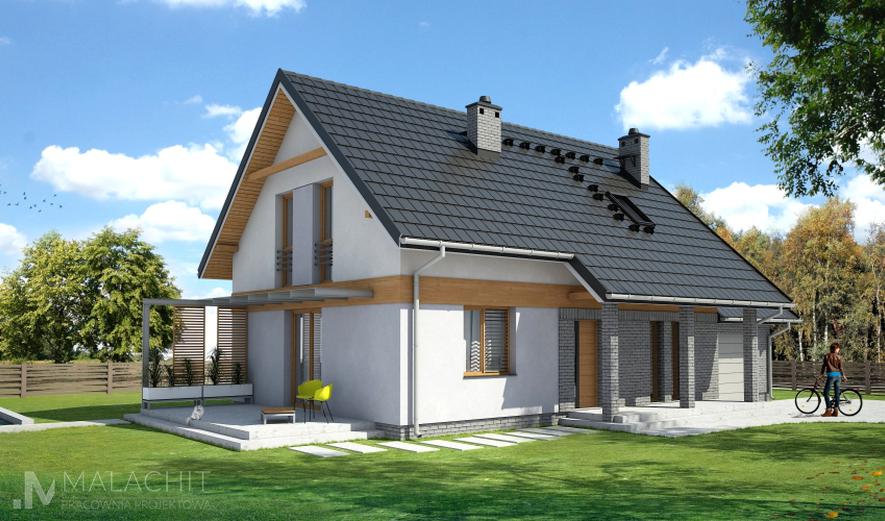 MT036 Familiaris I G1 MT036 Familiaris I G1