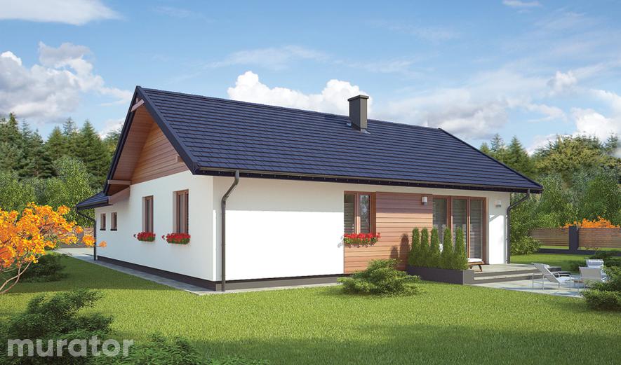 C310 Rumiankowy C310 Rumiankowy