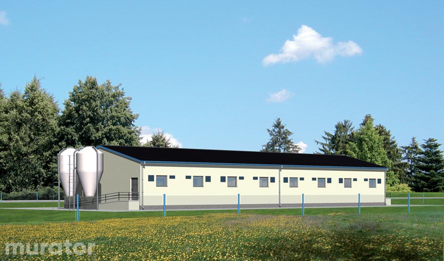 T03 Tuczarnia dla 320 sztuk, na głębokiej ściółce T03 T03 Tuczarnia dla 320 sztuk, na głębokiej ściółce T03
