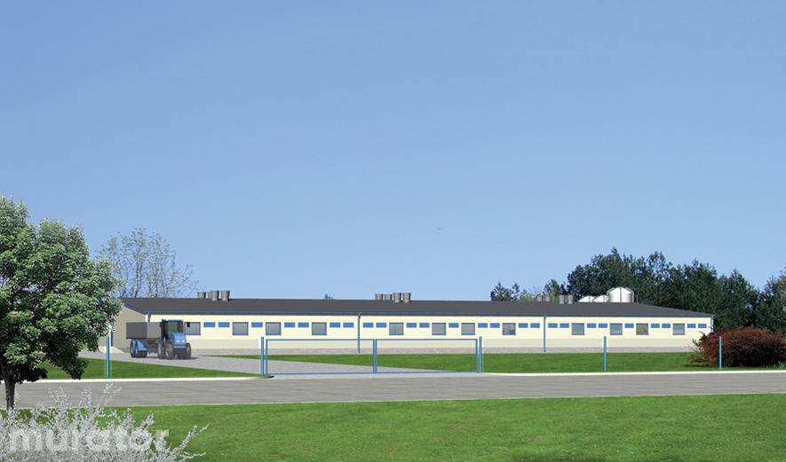 T15 Tuczarnia dla 1440 sztuk, na rusztach T15 Tuczarnia dla 1440 sztuk, na rusztach