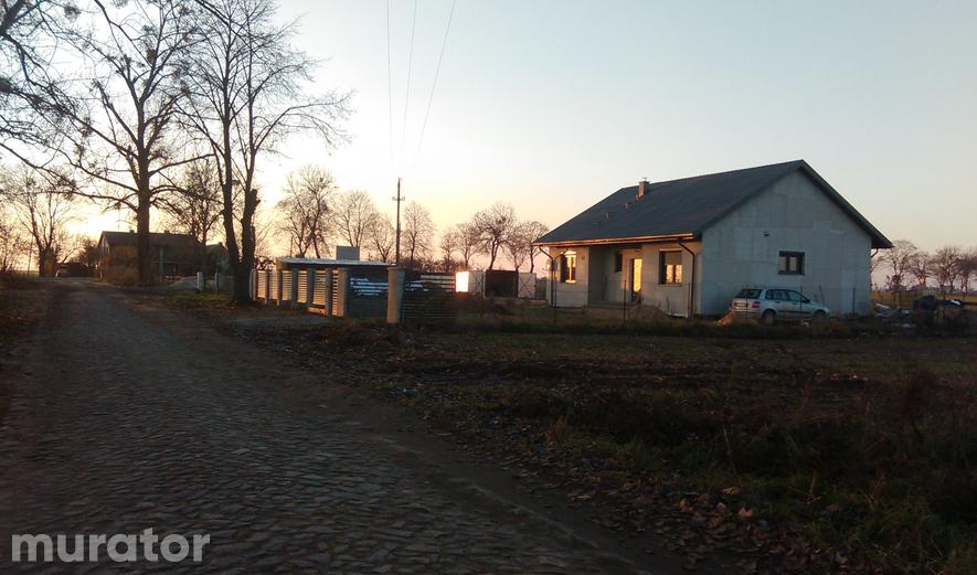 M72c Zielony ogród - wariant III M72c Zielony ogród - wariant III