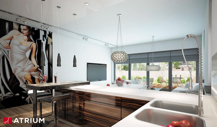 GL1104 Modern House GL1104 Modern House