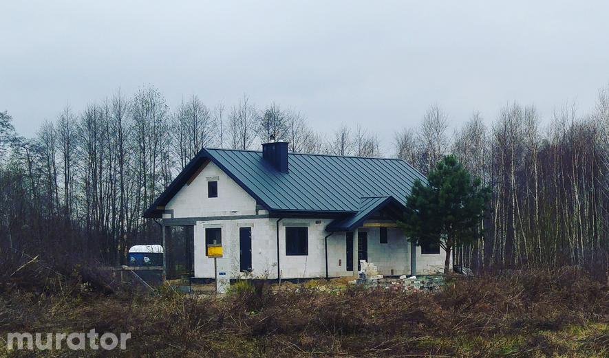 M174 Świerki nad jeziorem M174 Świerki nad jeziorem