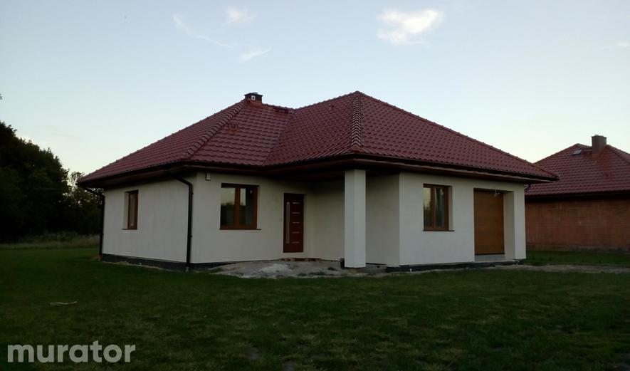 M95a Róże w ogrodzie - wariant I M95a Róże w ogrodzie - wariant I